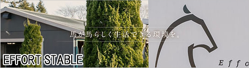 エフォートステーブル
