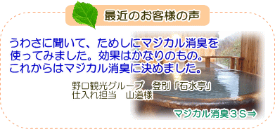 ŋ߂̂ql̐@oʁuΐv@p̃}WJLRȑڍׂ͂
